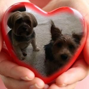 Meet your Posher, Suzanne